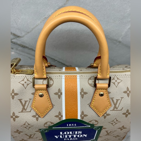 Louis Vuitton Speedy Bandoulière 25 Monopaname Monogram Paris Street Sign - Picture 3 of 13